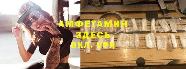 прущие грибы Вяземский