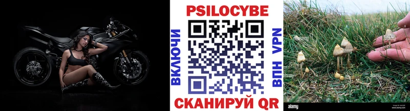 Галлюциногенные грибы Cubensis  OMG как зайти  Белёв 
