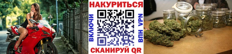 Каннабис SATIVA & INDICA  Белёв 